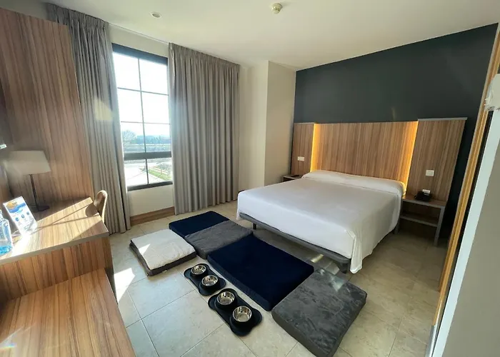 酒店 卡米诺里尔酒店