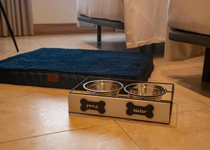 卡米诺里尔酒店 Dueñas