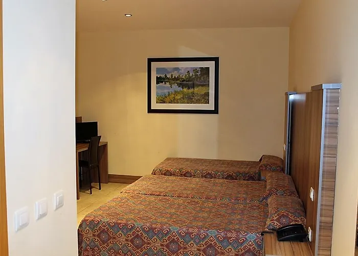 卡米诺里尔酒店 3* Dueñas