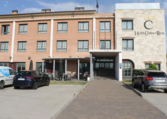 卡米诺里尔酒店 3* Dueñas