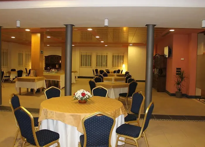 卡米诺里尔酒店 3* Dueñas