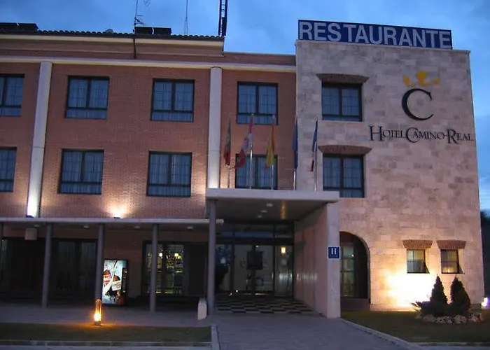 卡米诺里尔酒店 Dueñas